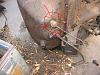 what is this-img_0002.jpg