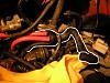 Vacuum hose question w/ pics-p6080417.jpg
