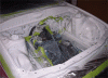 New Engine Bay Paint-primer-copy.gif