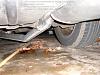 88 Vert custom Exhaust what u think?-dscf0627.jpg