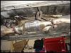 Pre-cats-dsc09904.jpg