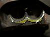 pics of my vicious s5 wastegate port job-rx7turbo8.jpg