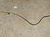 How hard is it to replace all of the EFI wires on the engine harness?-hpim1081small.jpg