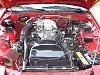 New to the forum-100_0290.jpg