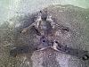 Skeletor Buildup-pic-0057.jpg