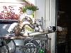 pics of aftermarket turbo exhaust mani's-p1000662.jpg