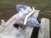 My new toy..-brew_mod_10888_07200720361.jpg