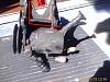 Greddy V-spec installation without power steering elimination-jspec-ps-after-cutting.jpg