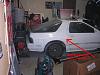 HOW TO: Polish a Turd (project 1988 T2)-rex2.jpg