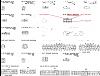 s4 86 gxl to s5 turbo motor, help pls :(-narrowrangewires.jpg