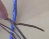 wiring harness S4 T2-img00028.jpg