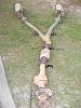 weight reduction (parts removal before pulling engine)-img_1487-medium-.jpg