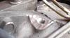 S5 Intake manifolds.-ground-2.jpg