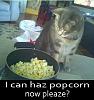 Curious sound.-popkat.jpg