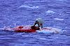 Harness routing on S5 Tiis-polar-bear.jpg