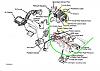 how do i hook up the fuel lines-fuel-map-large-medium-.jpg