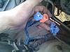 Weird Connections-0220_134616.jpg