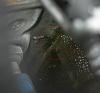 Bad OUTER coolant seal on rear iron...-pic2.jpg