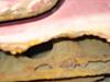 HELP! Rust/rot on frame? can I fix this (pics)-dsc00247.jpg