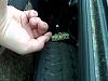 question.-copy-img00129.jpg