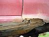 HELP! Rust/rot on frame? can I fix this (pics)-dsc002764.jpg