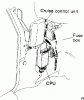 what does this harness go to?  (pic)-cruise1.gif