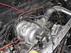 Newbee with scary T2 project-img_1037.jpg