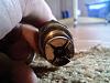 Spark Plug quest/help...pics included-0908091115.jpg