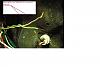 Wires by color HELP-greenyellow.jpg