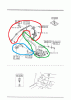S5 Seatbelt recall ---- what exactly do they replace ?-bf03891_1000.gif
