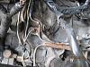 Rats nest removal-011.jpg