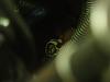 help with connector/wire info-dsc01924.jpg