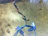 NA-T2 Tranny Wiring-photo-2.jpg