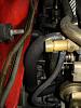 What hose is this???-dsc07186.jpg