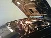 Easy Hood Strut-hood-strut.jpg