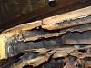 POR 15 stuff. I did searched :)-01563.jpg