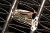 Rad damage. Do I need a replacement?-410e.jpg
