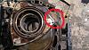 what the F is this ?-06042011397s.jpg