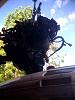 Stacee- Linguo415s 89 Turbo build-pull5.jpg