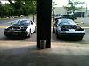 my NA tII project-creatures-007.jpg