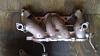 13b carbed turbo setup-imag0185.jpg