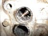 Freeing up Port Rods?-dscn1056.jpg