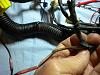 Wire Harness Check (out of car)-dscn1480.jpg