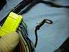 Wire Harness Check (out of car)-dscn1484.jpg