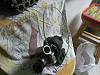 6 Port Turbo: The quickest way possible-2012-03-06-03.23.49.jpg