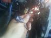 2 mystery wires need help-0817021109.jpg