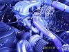 91 Rear window louvers?-car-insurance-pics-015.jpg