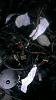 Help me distuingish between primary/secondary injector clips-forumrunner_20130616_065756.jpg