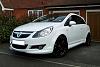 Experienced Body/Paint members-arctic-white.jpg
