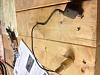 What is this?-image-2981668117.jpg